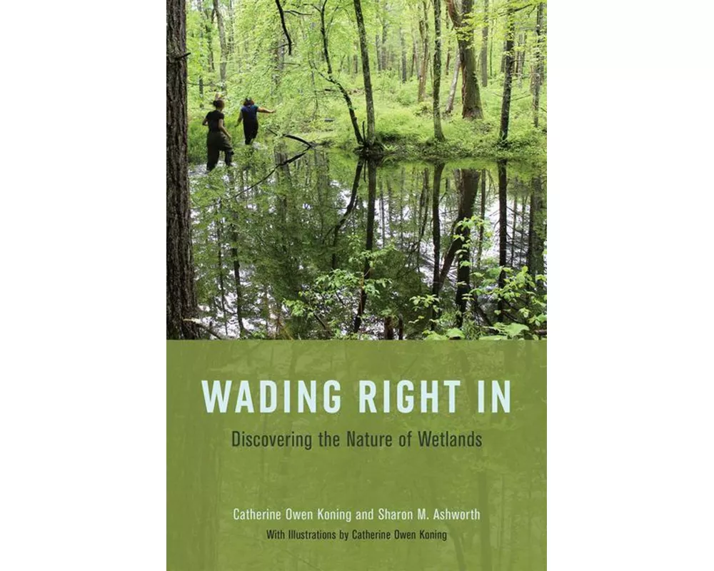 Wading Right in