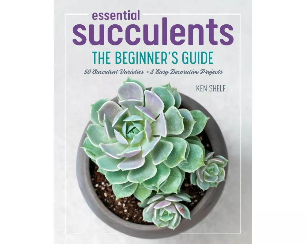 Essential Succulents