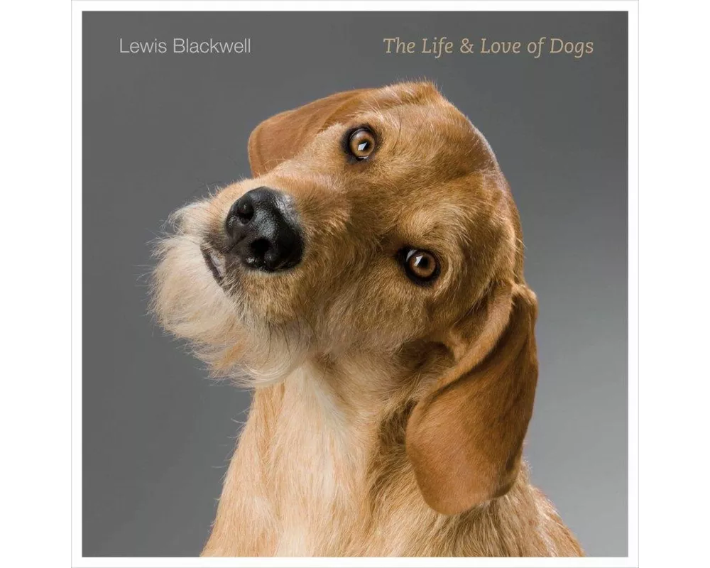 The Life and Love of Dogs