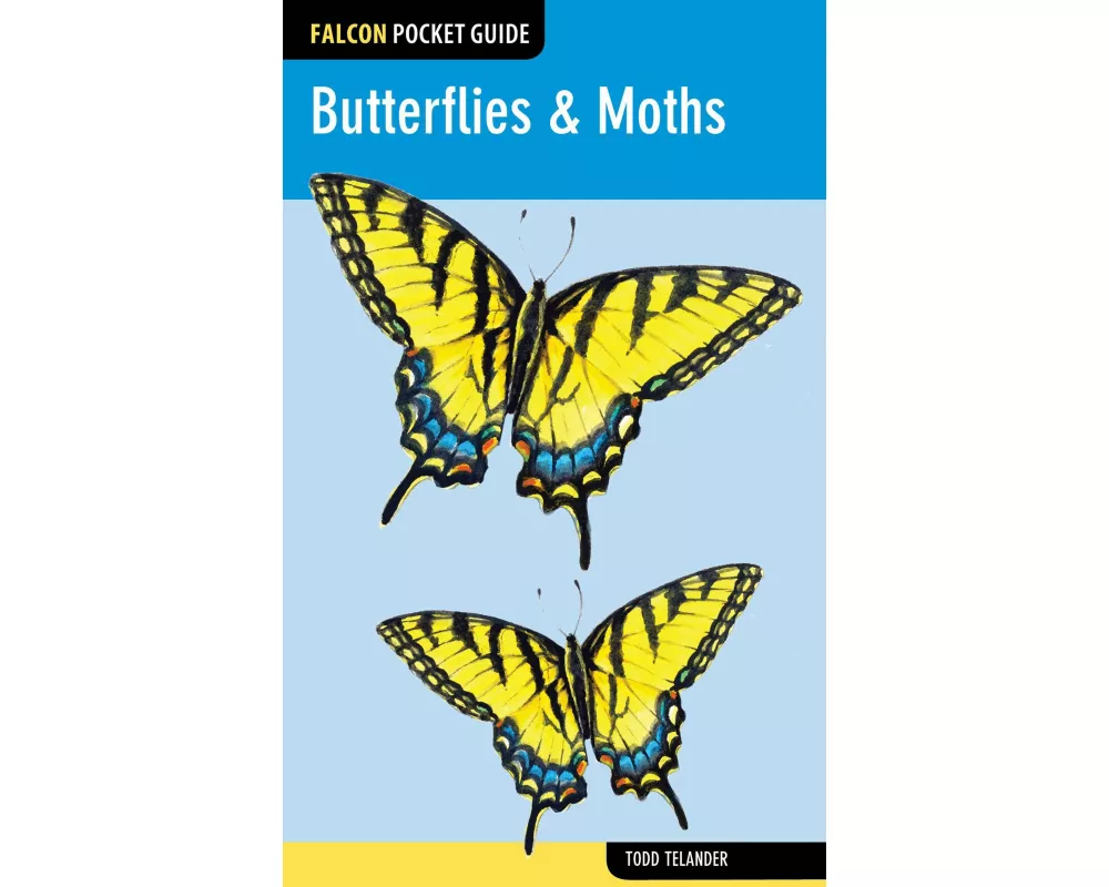 Butterflies & Moths