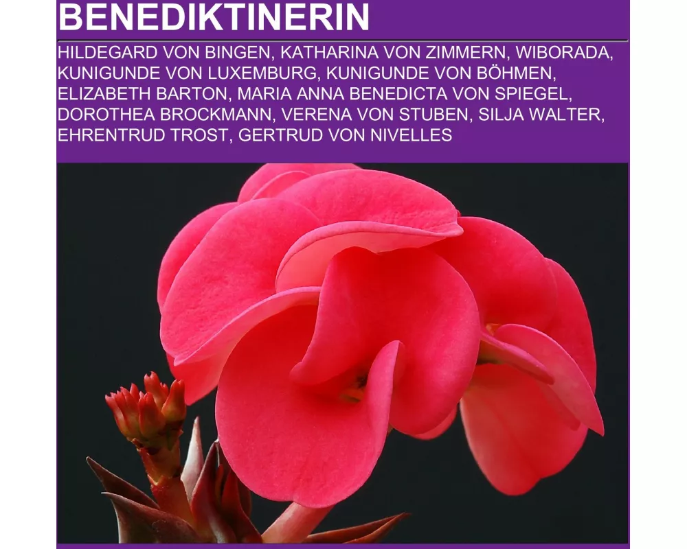 Benediktinerin