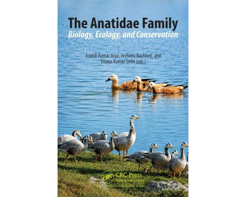 The Anatidae Family