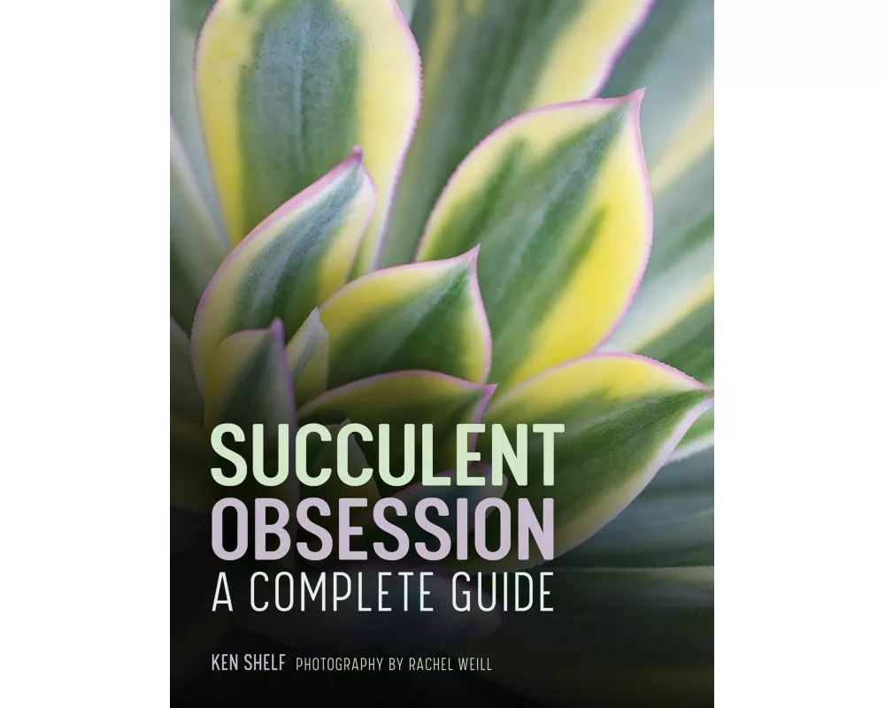 Succulent Obsession