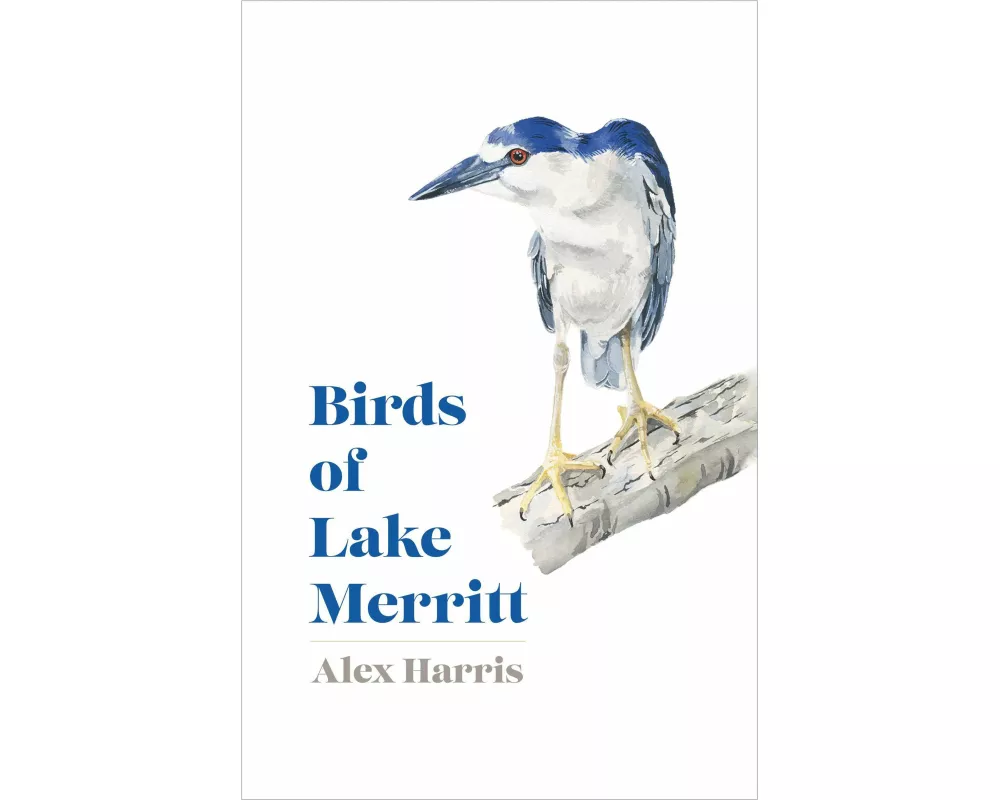 Birds of Lake Merritt