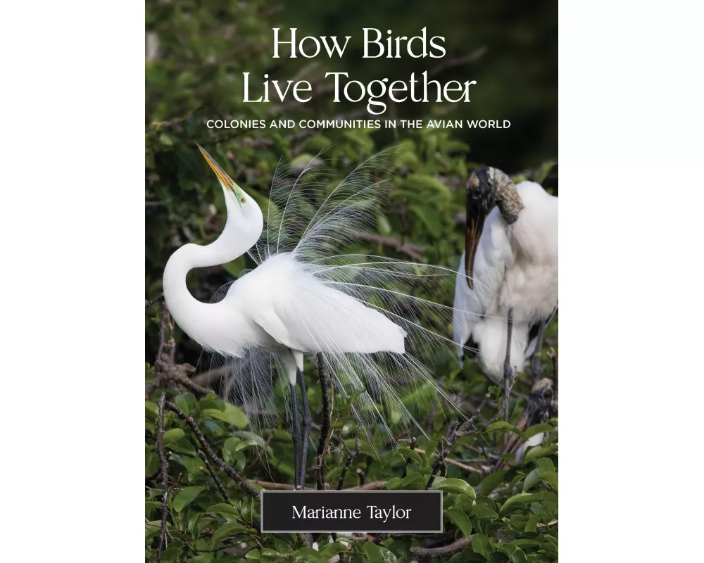 How Birds Live Together