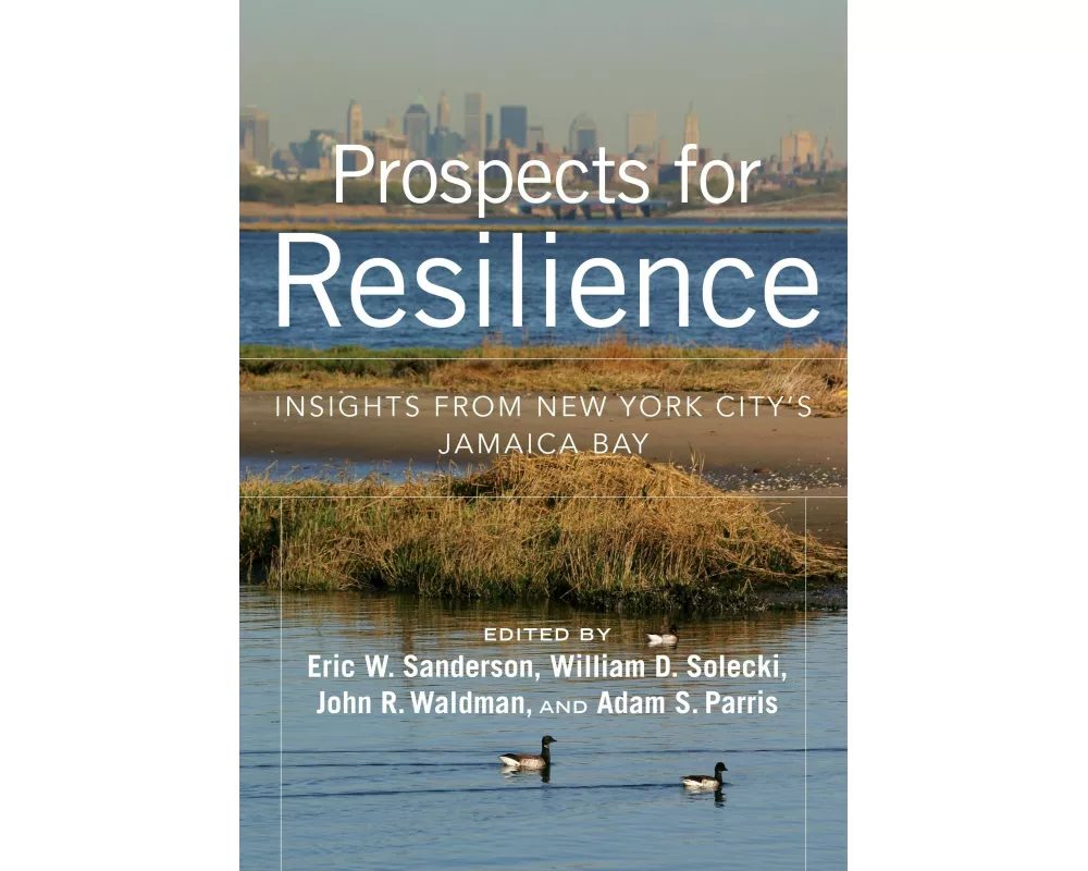 Prospects for Resilience