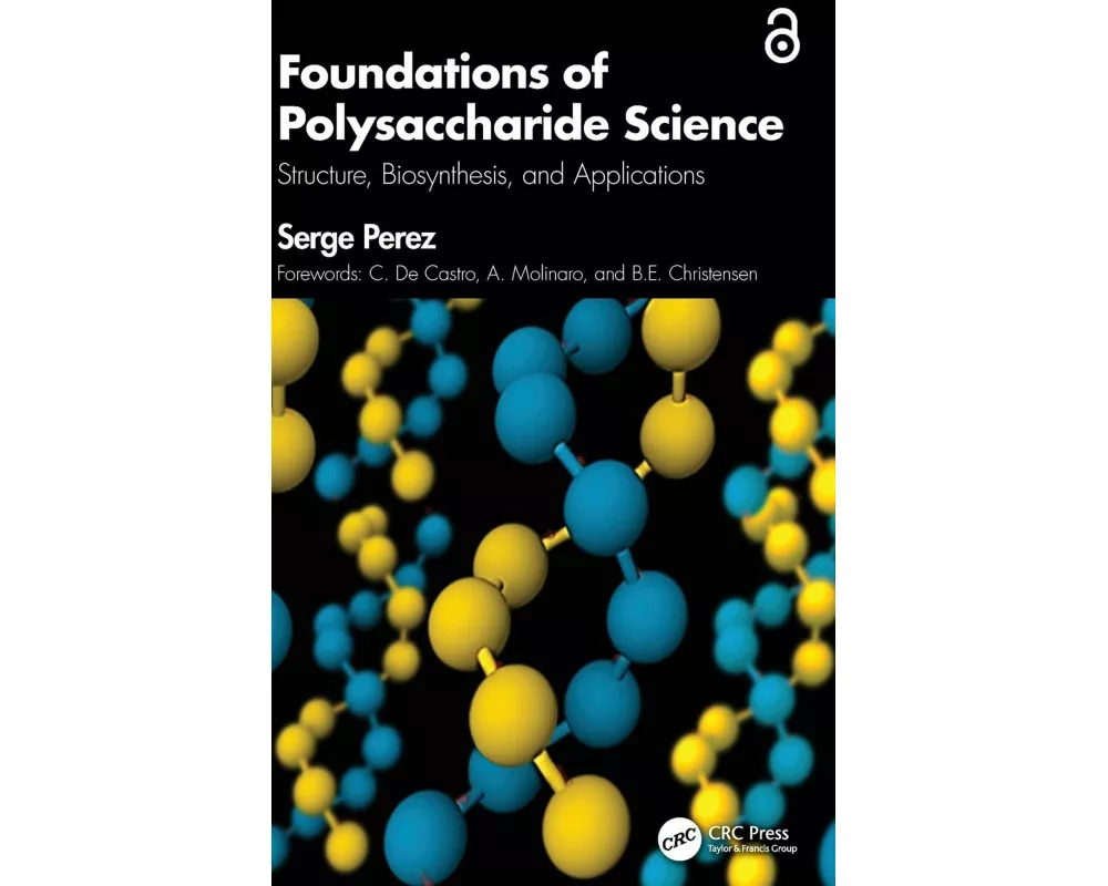 Foundations of Polysaccharide Science