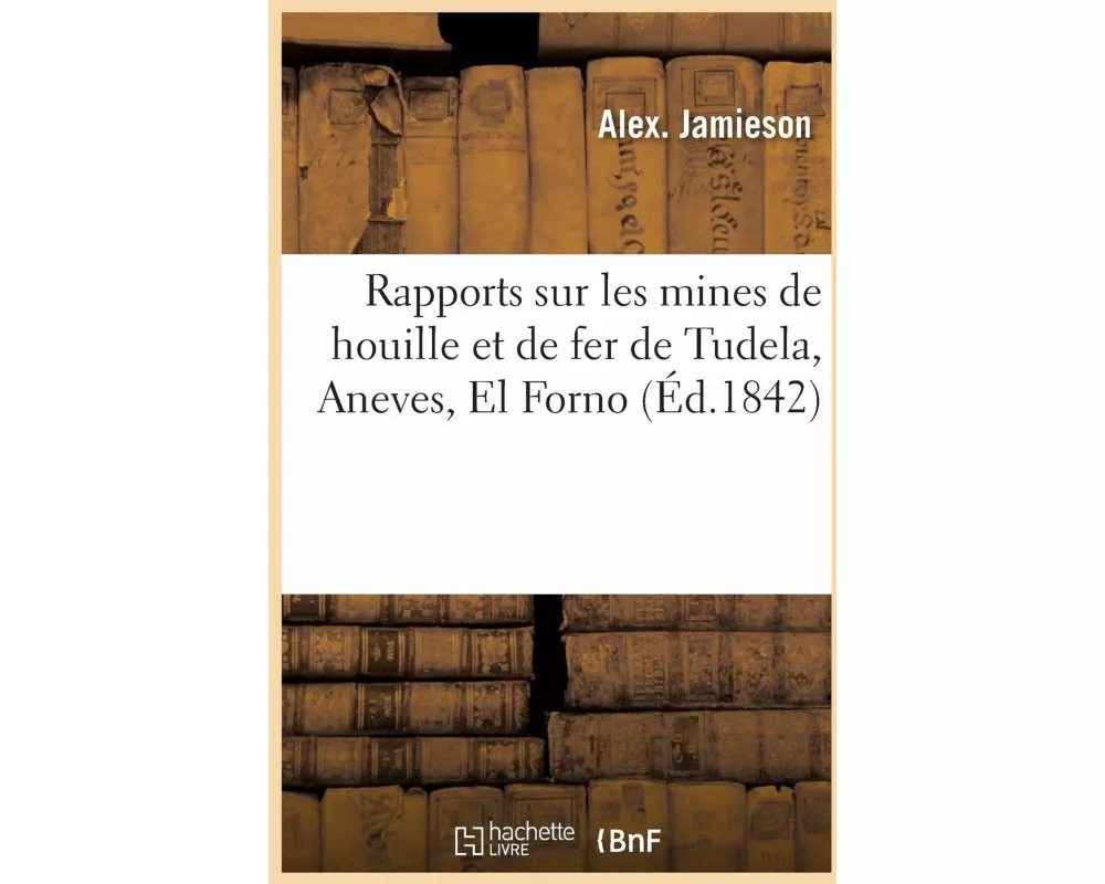Rapports Sur Les Mines de Houille Et de Fer de Tudela, Aneves, El Forno