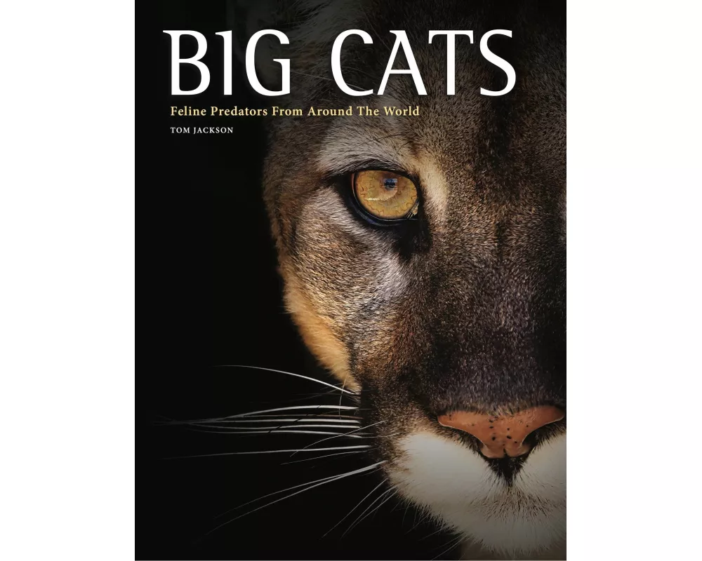 Big Cats