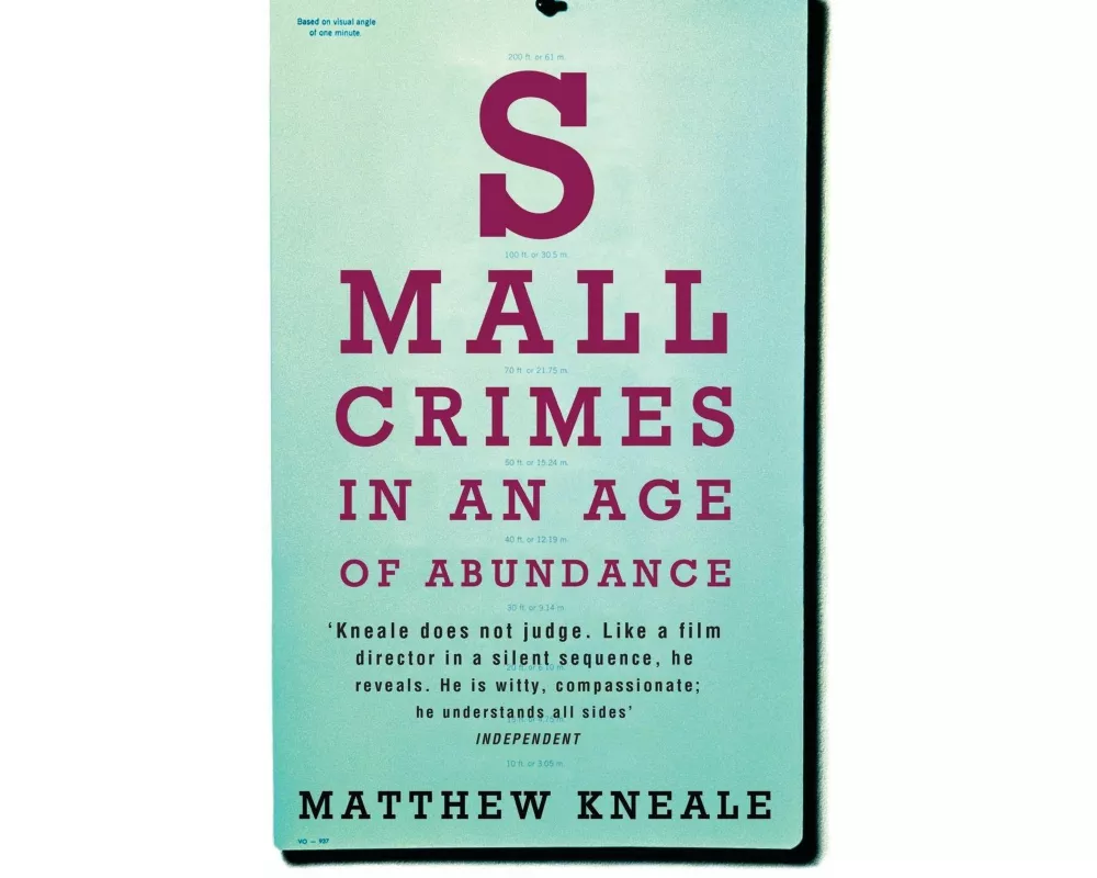 Small Crimes in an Age of Abundance