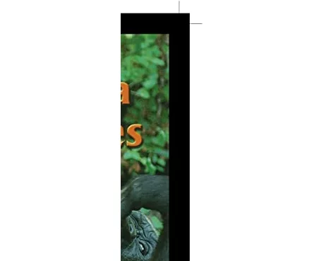 Gorilla Families