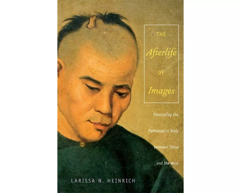 The Afterlife of Images