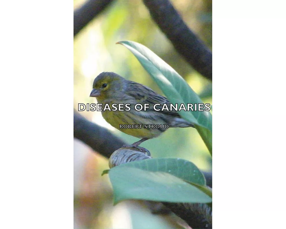 Diseases of Canaries