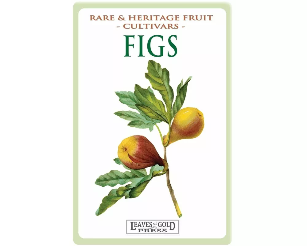 Figs