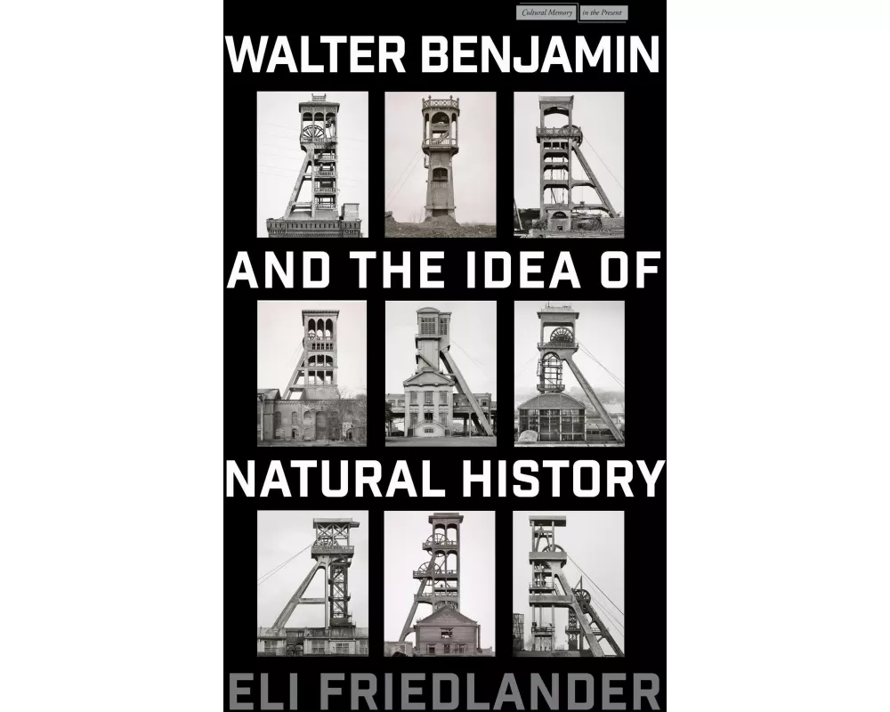 Walter Benjamin and the Idea of Natural History