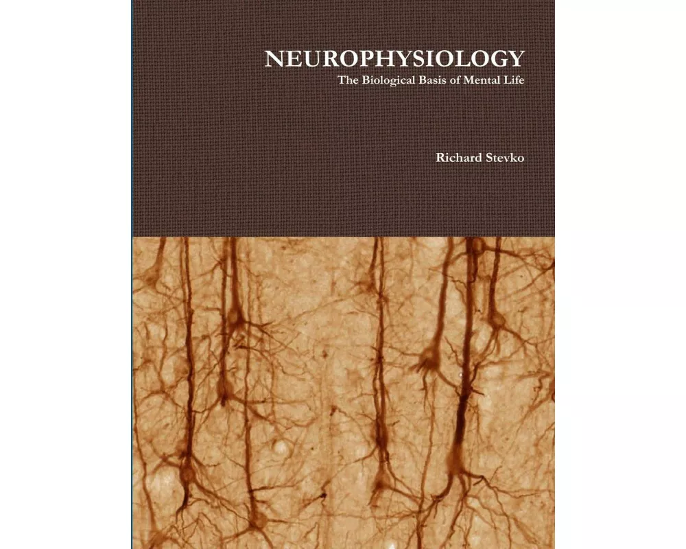 Neurophysiology