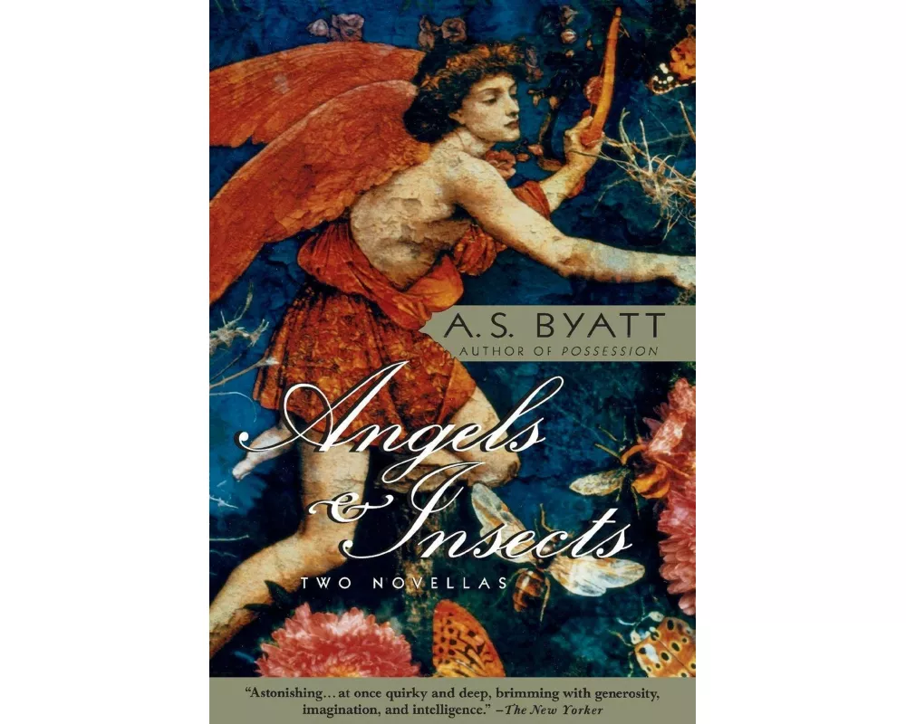 Angels & Insects