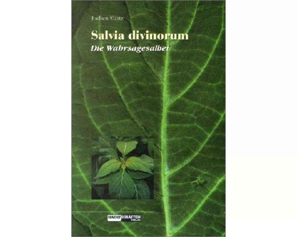 Salvia Divinorum