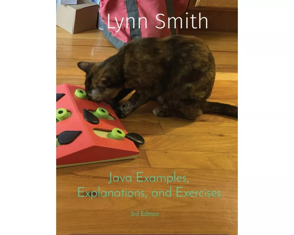 Java Examples, Explanations, and Exercises Third Edition