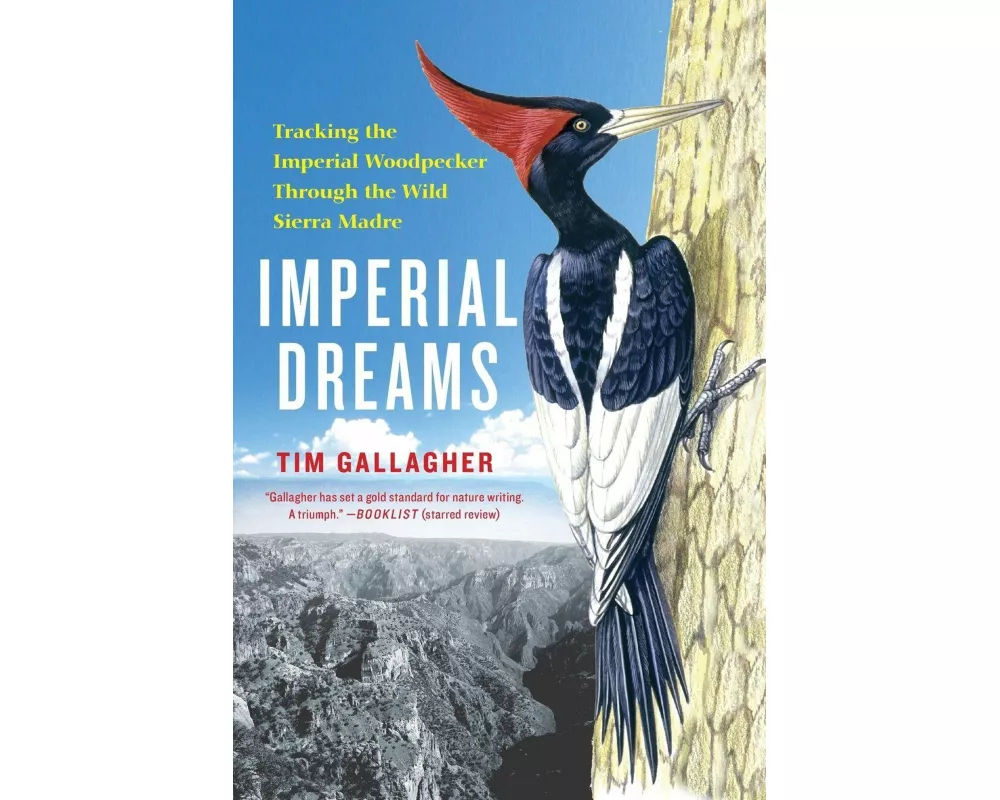 Imperial Dreams