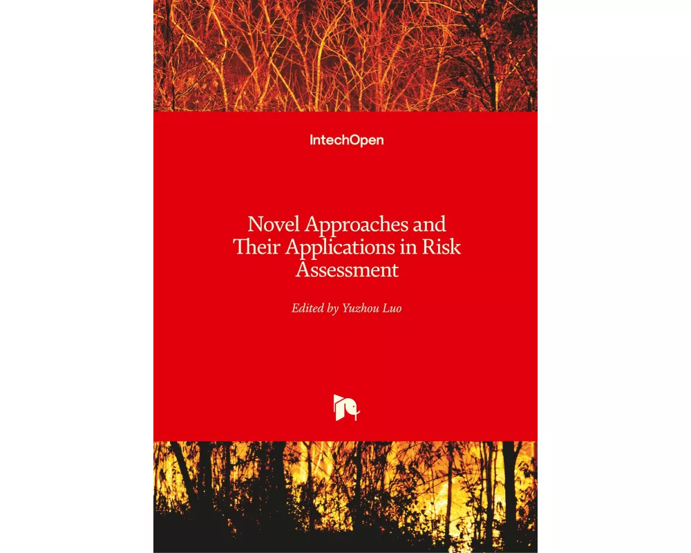 Novel Approaches and Their Applications in Risk Assessment