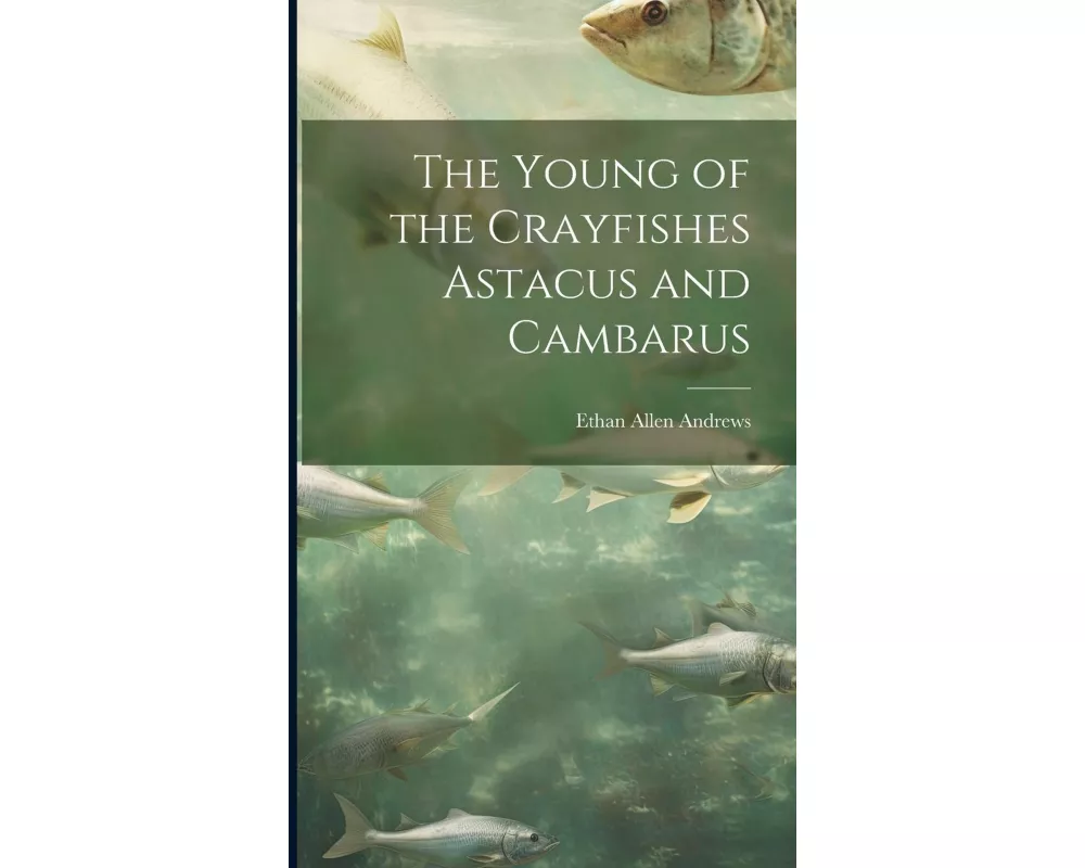 The Young of the Crayfishes Astacus and Cambarus