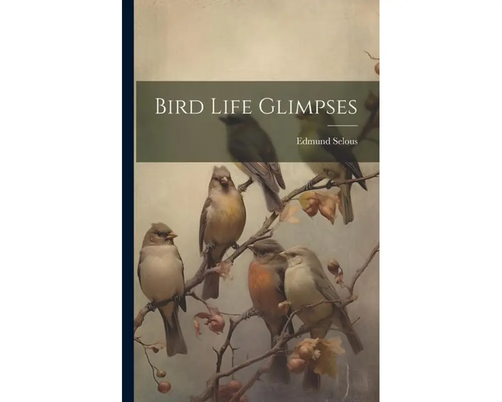 Bird Life Glimpses