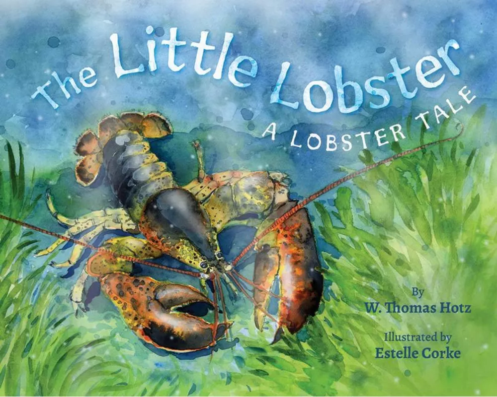 The Little Lobster