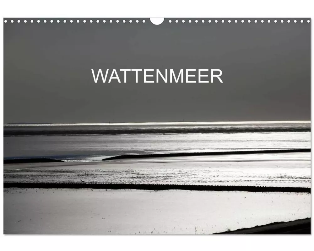 Wattenmeer (Wandkalender 2027 DIN A3 quer), CALVENDO Monatskalender