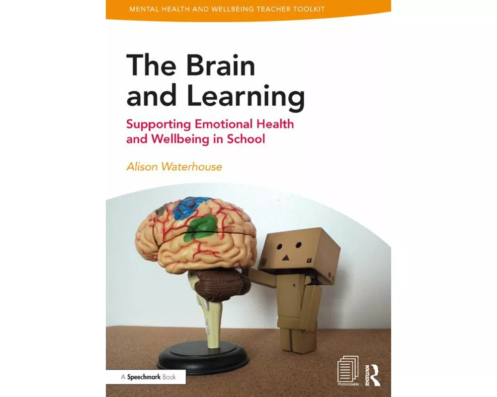 The Brain and Learning