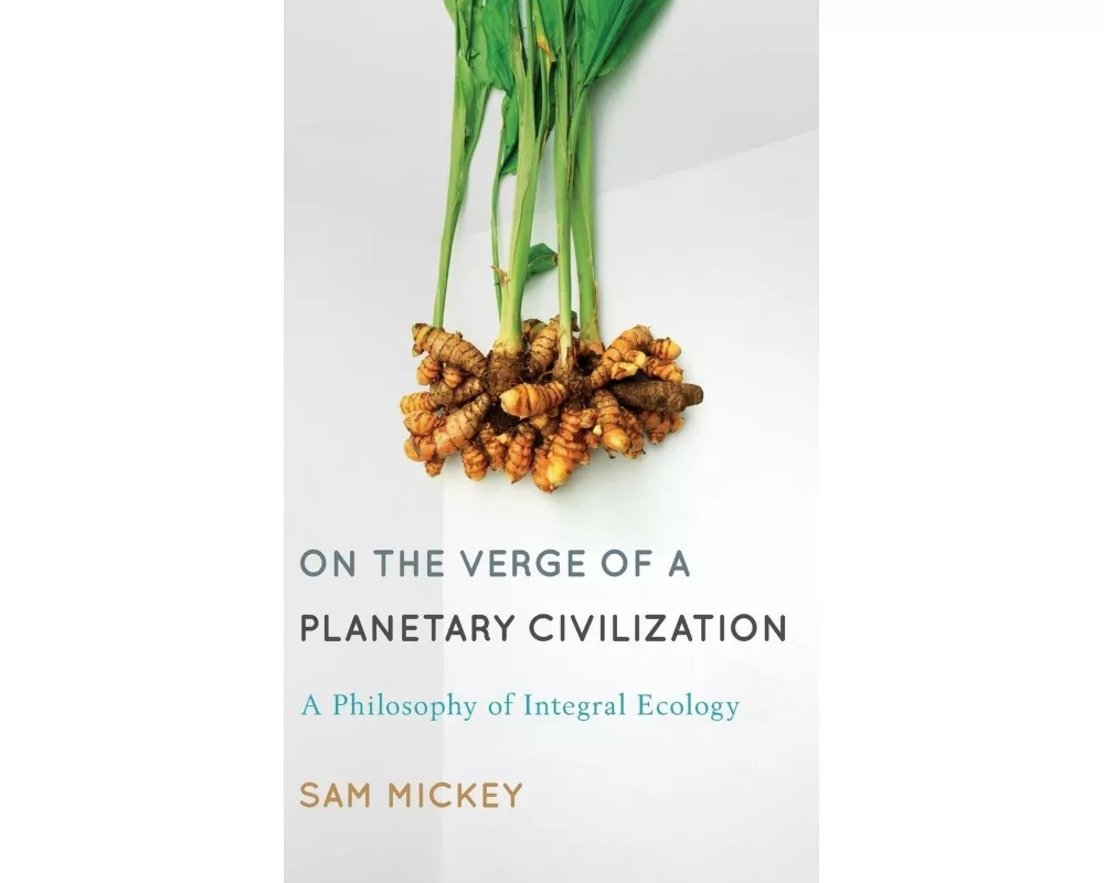 On the Verge of a Planetary Civilization