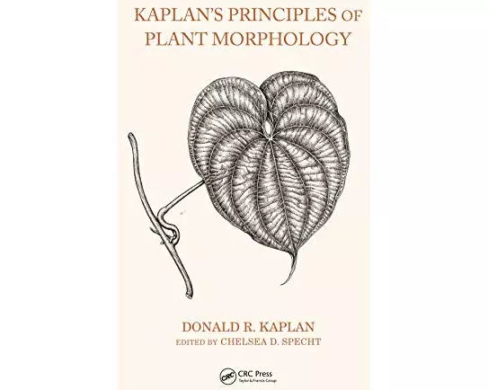 Kaplan's Principles of Plant Morphology