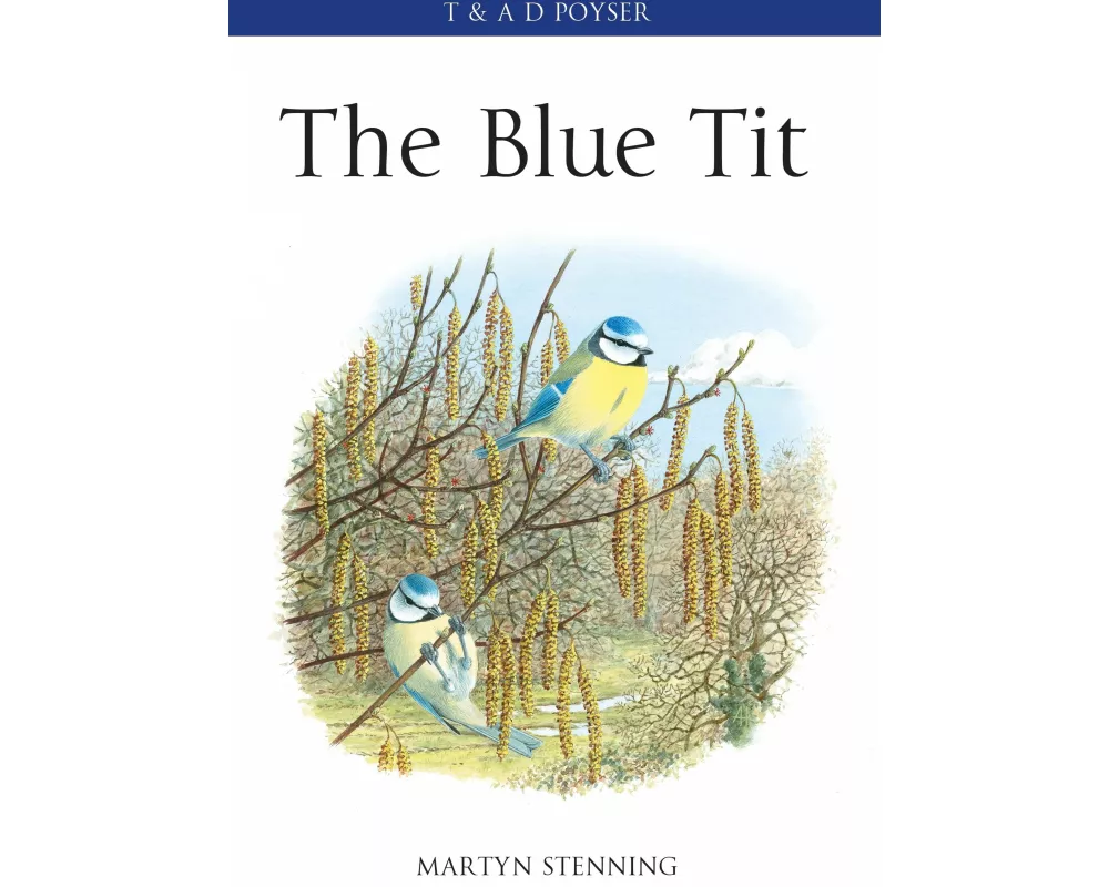 The Blue Tit