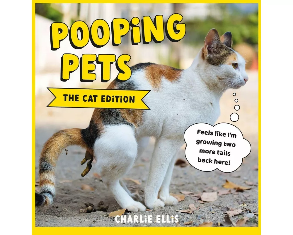 Pooping Pets: The Cat Edition