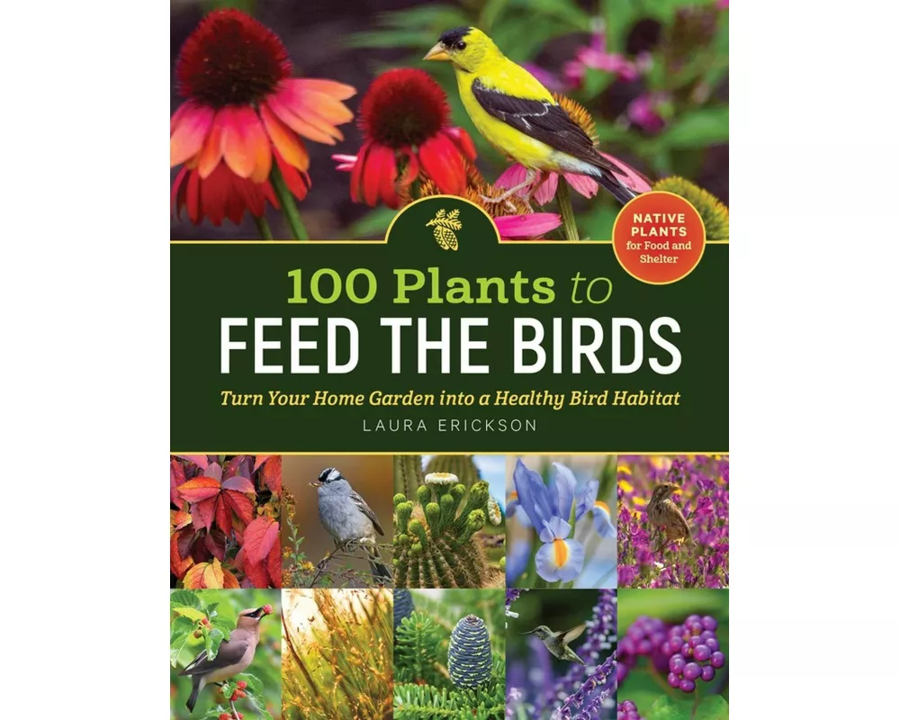 100 Plants to Feed the Birds