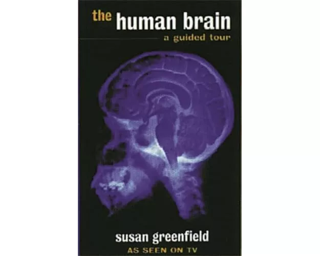 The Human Brain