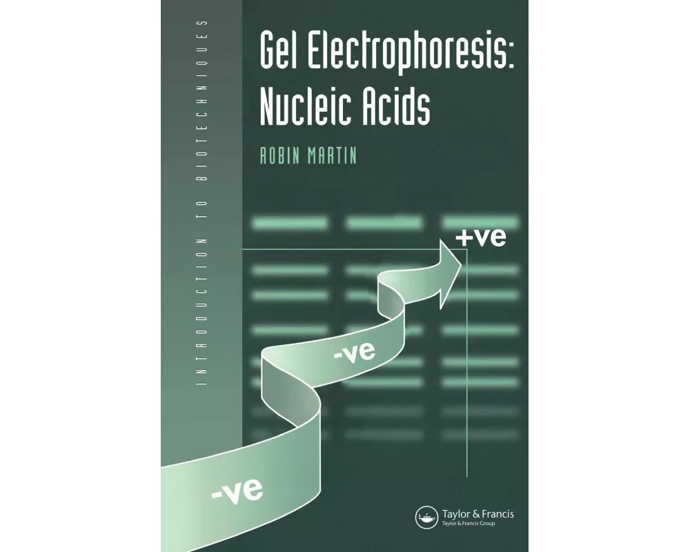 Gel Electrophoresis: Nucleic Acids
