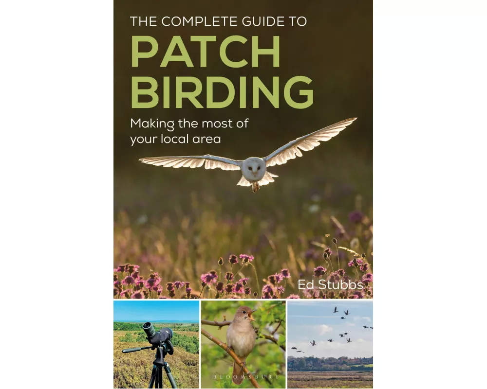 The Complete Guide to Patch Birding