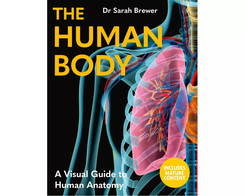 The Human Body