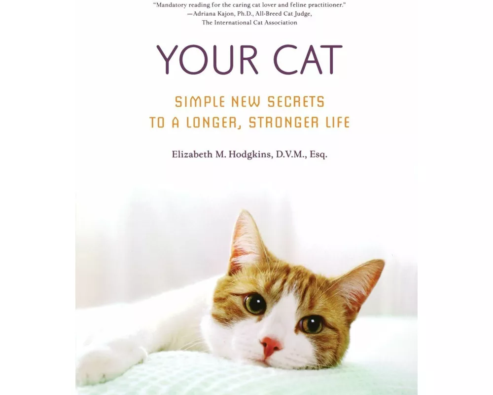 Your Cat