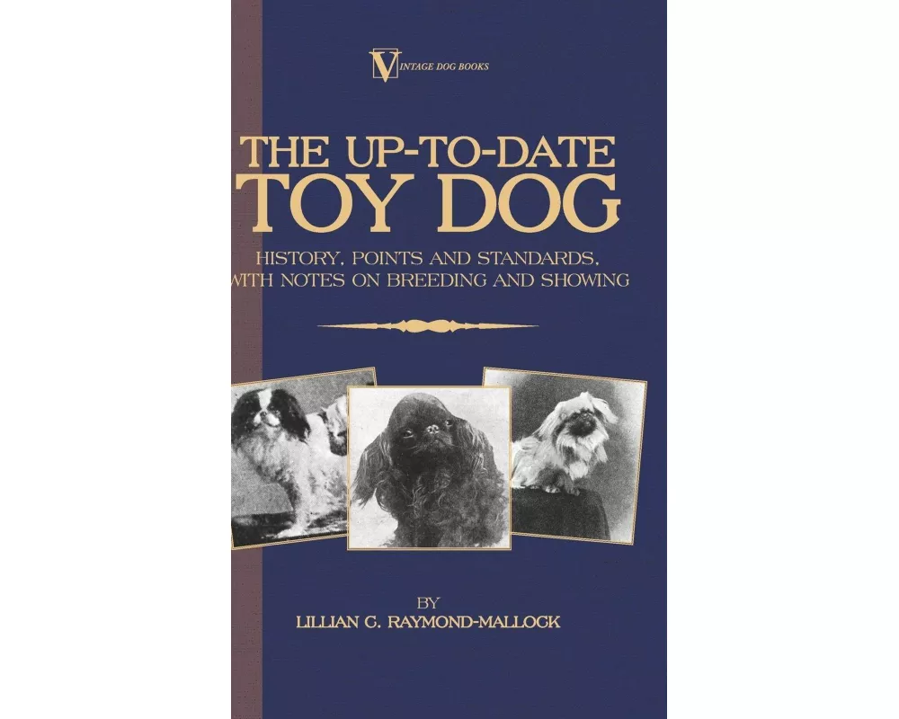 The Up-to-Date Toy Dog
