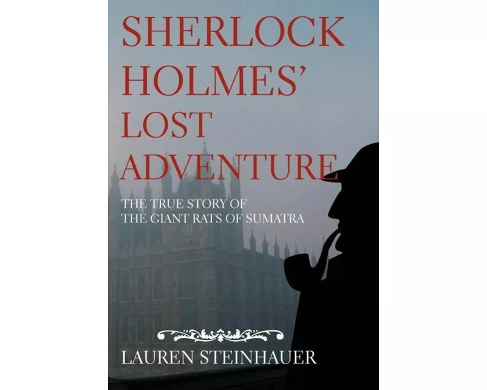 Sherlock Holmes' Lost Adventure