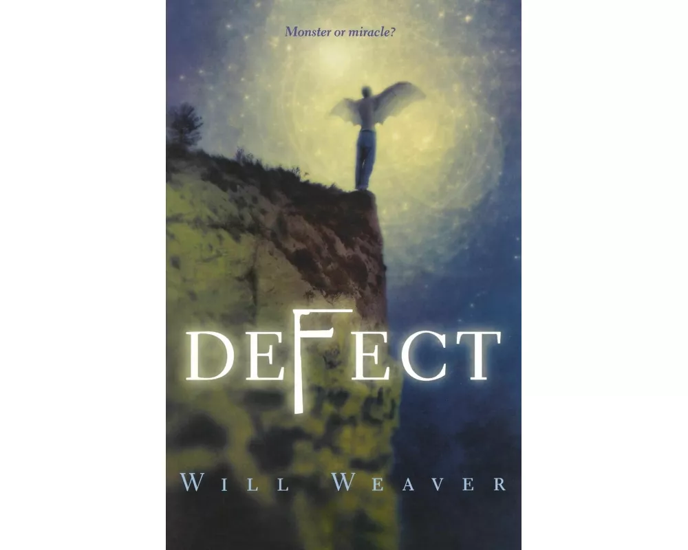 Defect