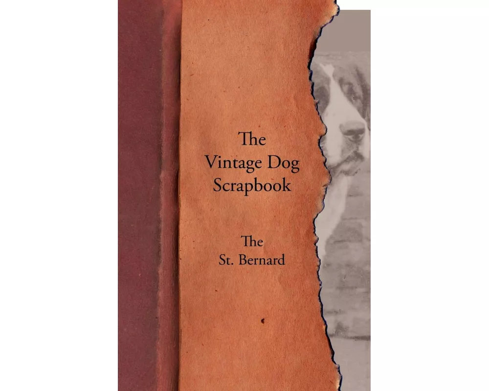 The Vintage Dog Scrapbook - The St. Bernard