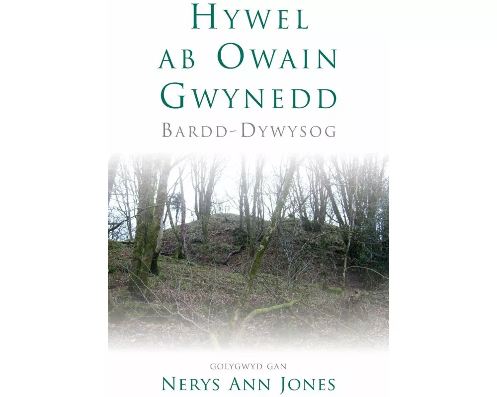 Hywel ab Owain Gwynedd
