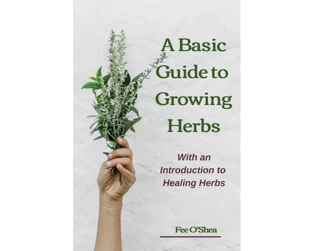 The Basic Guide To Growing Herbs