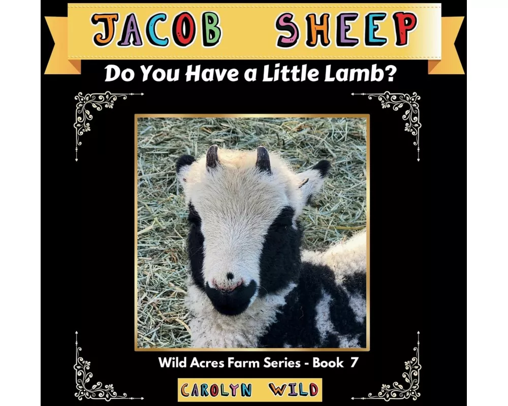 Jacob Sheep