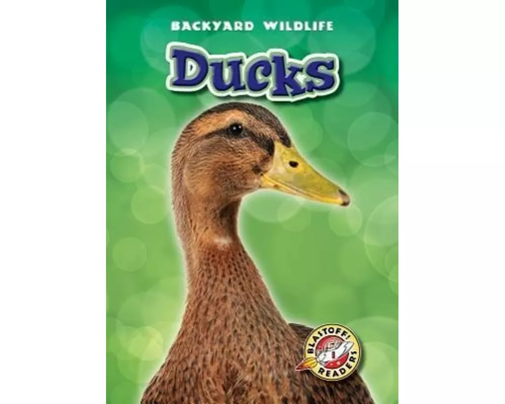 Ducks