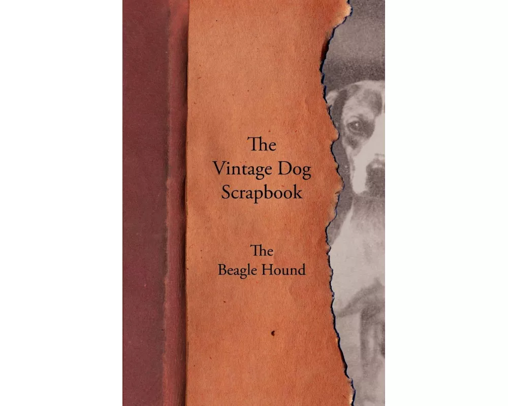 The Vintage Dog Scrapbook - The Beagle Hound
