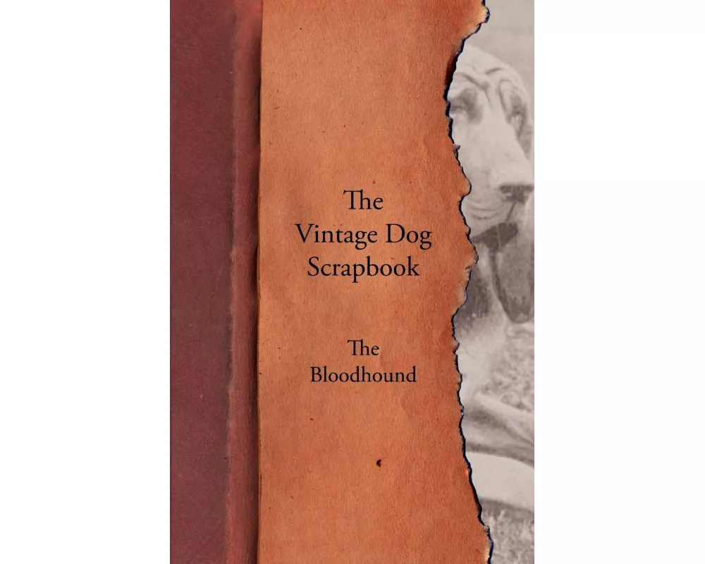 The Vintage Dog Scrapbook - The Bloodhound